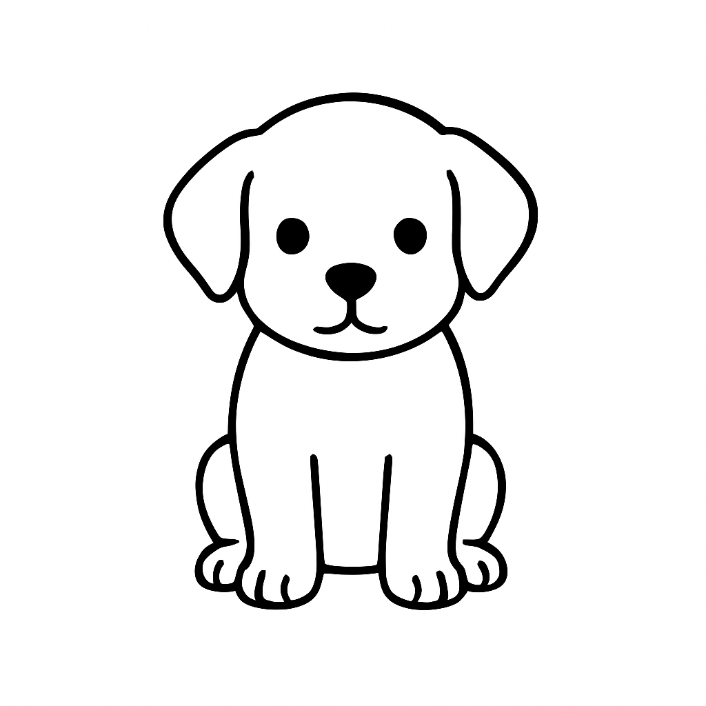 Sketch after vectorization
