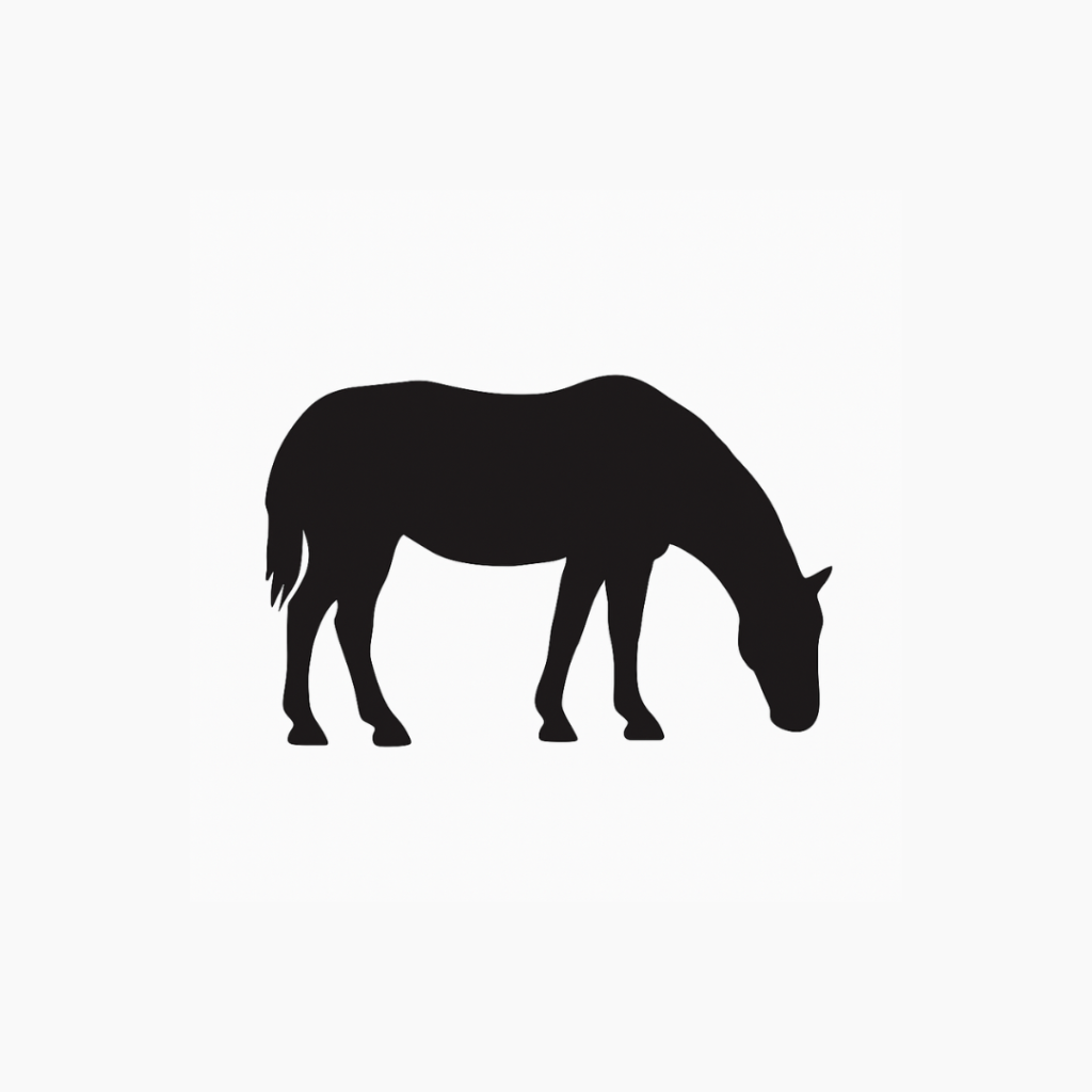 horse before vector line drawing